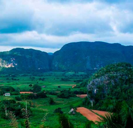 XI CONVENCIÓN DE CIENCIAS DE LA TIERRA