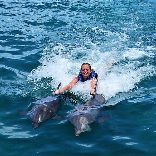 delfines