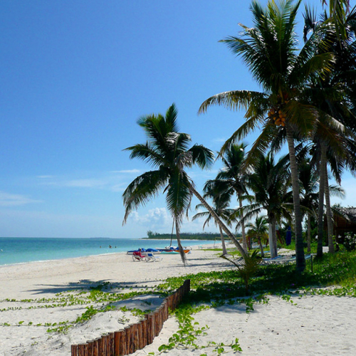 cayo levisa