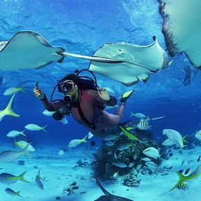 Buceo en Playa Guardalavaca